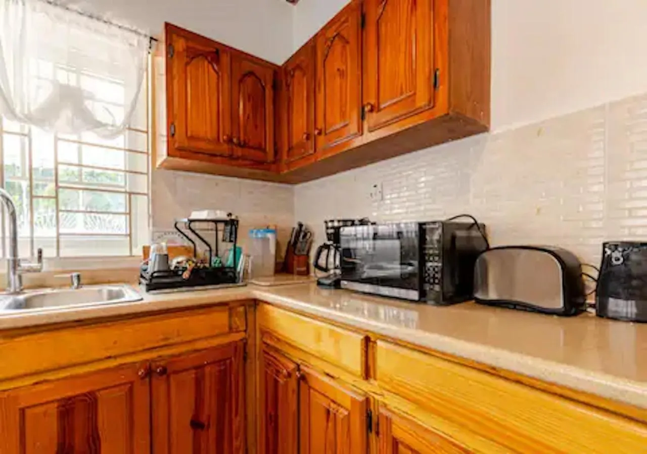 Eco Friendly Oasis Near Beaches And Waterfalls Port Antonio Jamaica